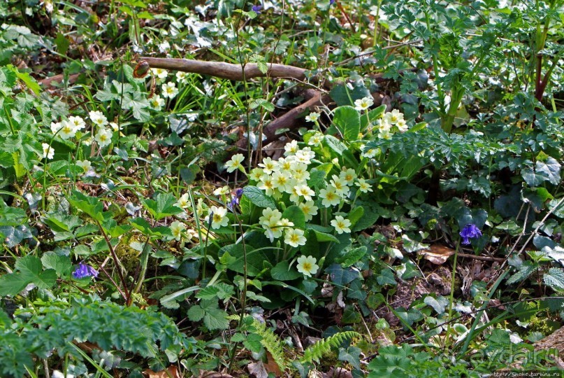 Прогулка по северо-восточному побережью Джерси