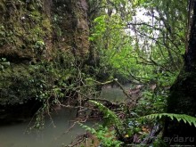 Пещера светлячков Ваитомо. На мой вкус, интереснейшее в НЗ