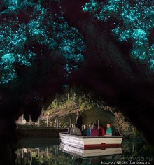 Пещера светлячков Ваитомо. На мой вкус, интереснейшее в НЗ