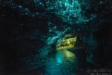 Пещера светлячков Ваитомо. На мой вкус, интереснейшее в НЗ