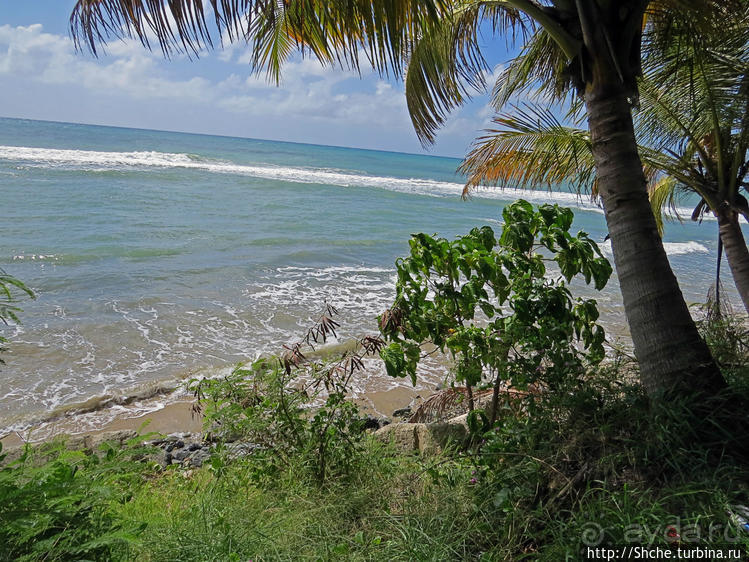 Восточное побережье Пуэрто Рико — покой здесь только сниться