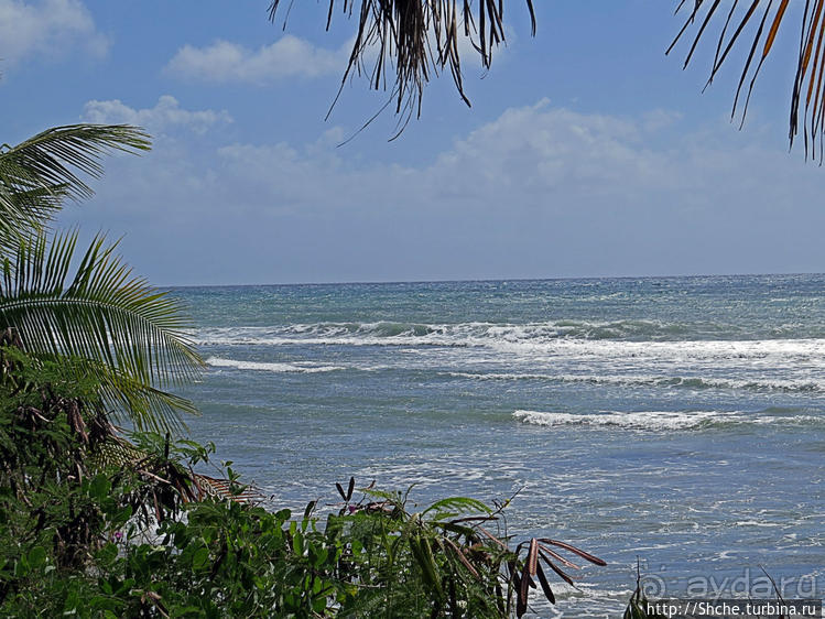 Восточное побережье Пуэрто Рико — покой здесь только сниться