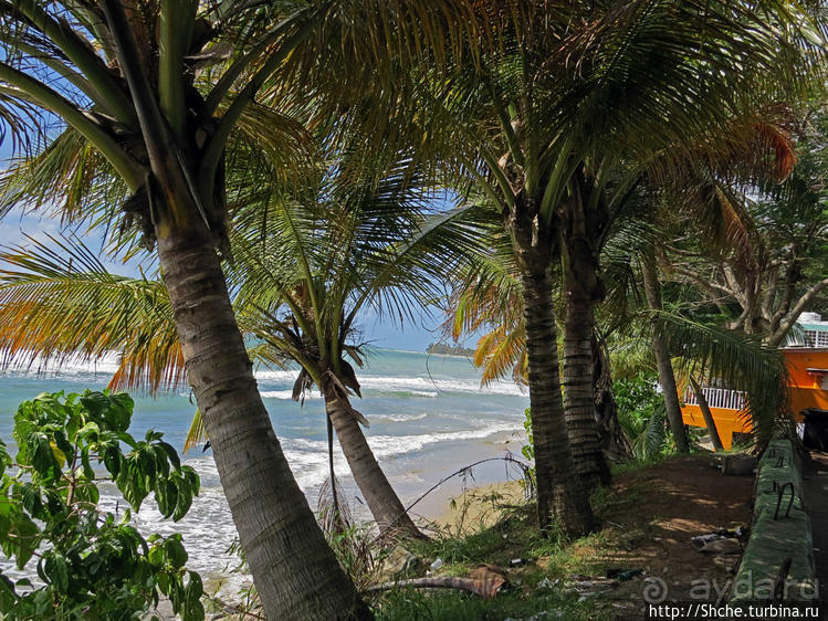 Восточное побережье Пуэрто Рико — покой здесь только сниться