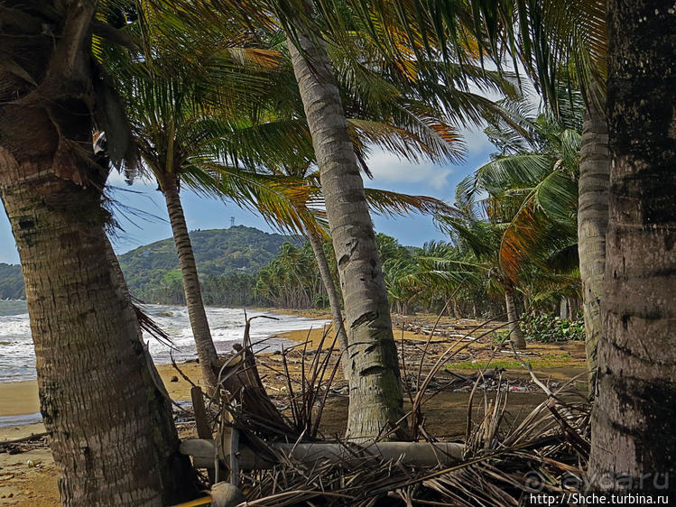 Восточное побережье Пуэрто Рико — покой здесь только сниться