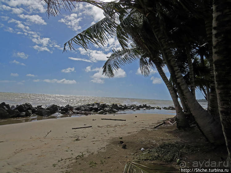 Восточное побережье Пуэрто Рико — покой здесь только сниться