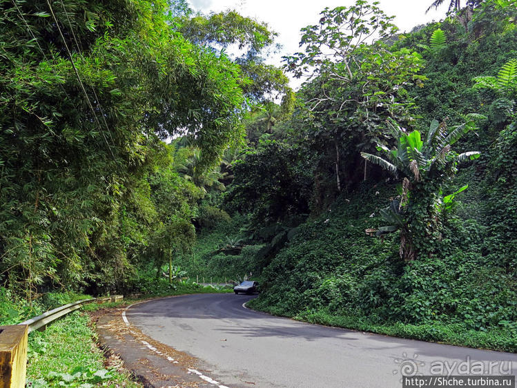 Восточное побережье Пуэрто Рико — покой здесь только сниться