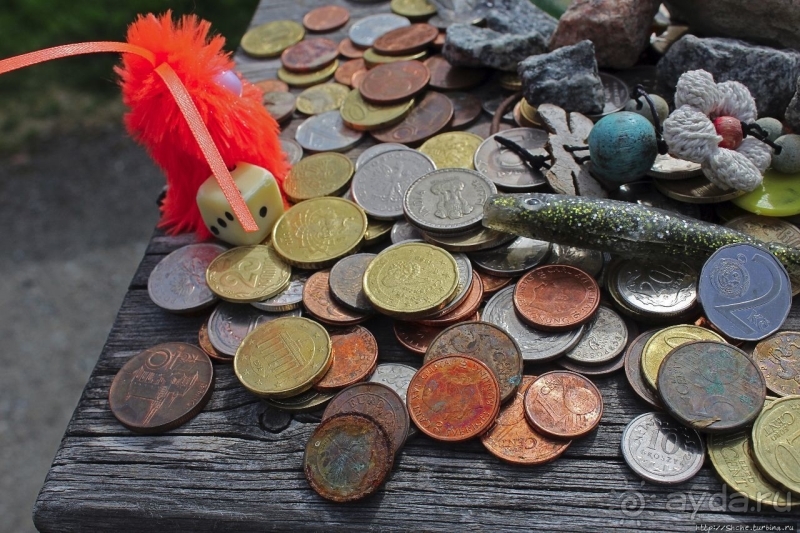 Еще одна незримая линия... Северный полярный круг в Швеции