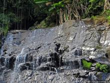 Каскады Коки