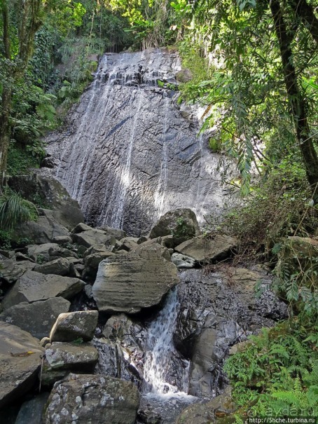 Каскады Коки