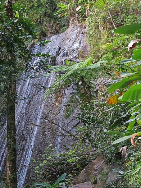 Каскады Коки