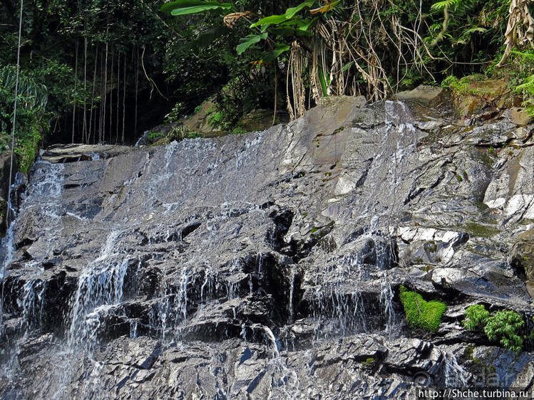 Каскады Коки