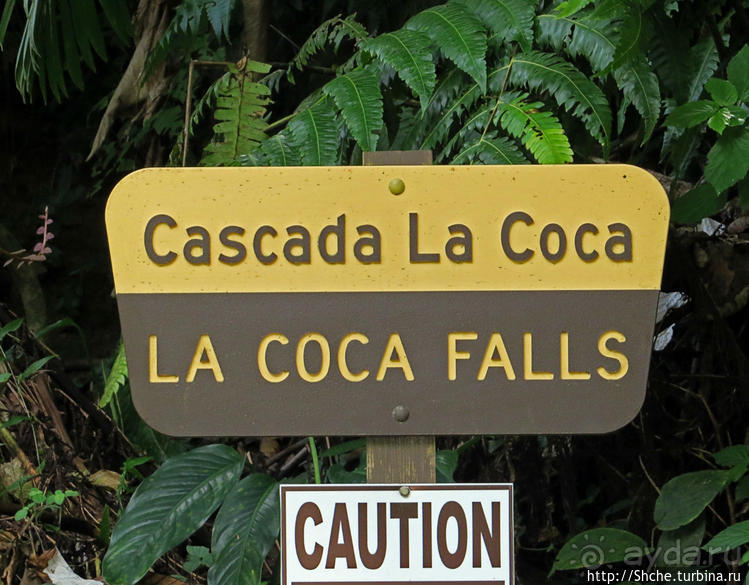 Каскады Коки