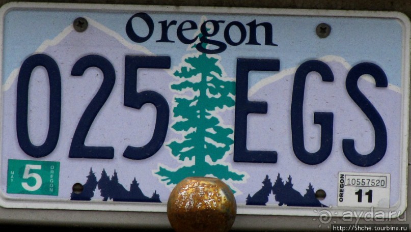 Альбом отзыва "Номерные знаки США — краткая характеристика штата и хозяина"