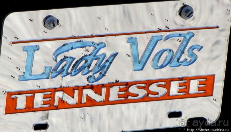 Номерные знаки США — краткая характеристика штата и хозяина