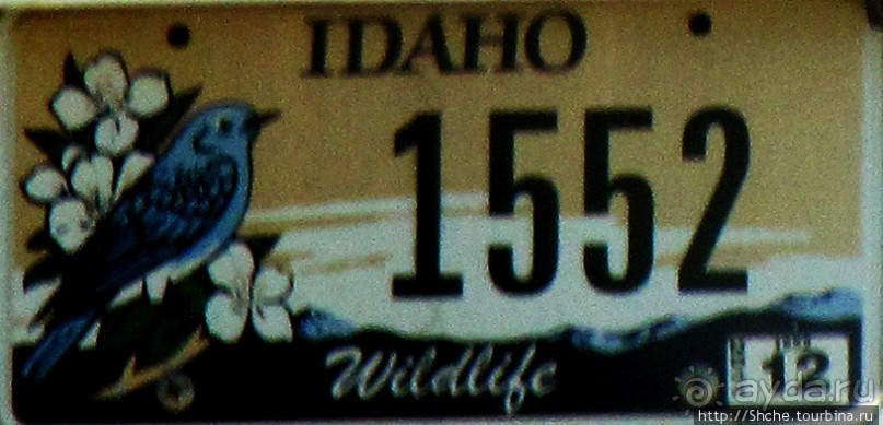 Номерные знаки США — краткая характеристика штата и хозяина