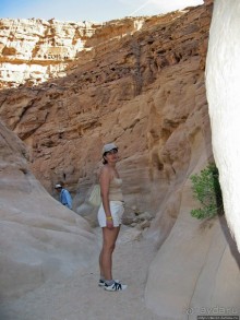 Выкрутасы природы: цветной каньон в Синайской пустыне