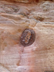 Выкрутасы природы: цветной каньон в Синайской пустыне