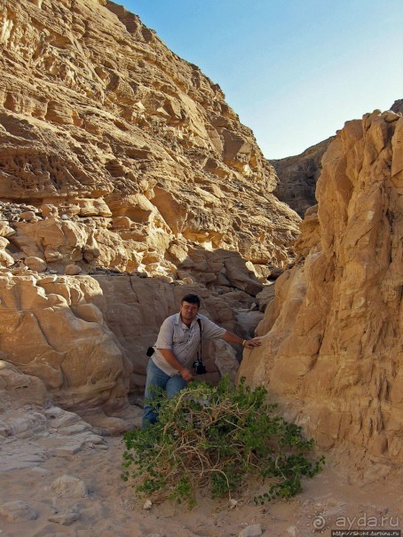 Выкрутасы природы: цветной каньон в Синайской пустыне