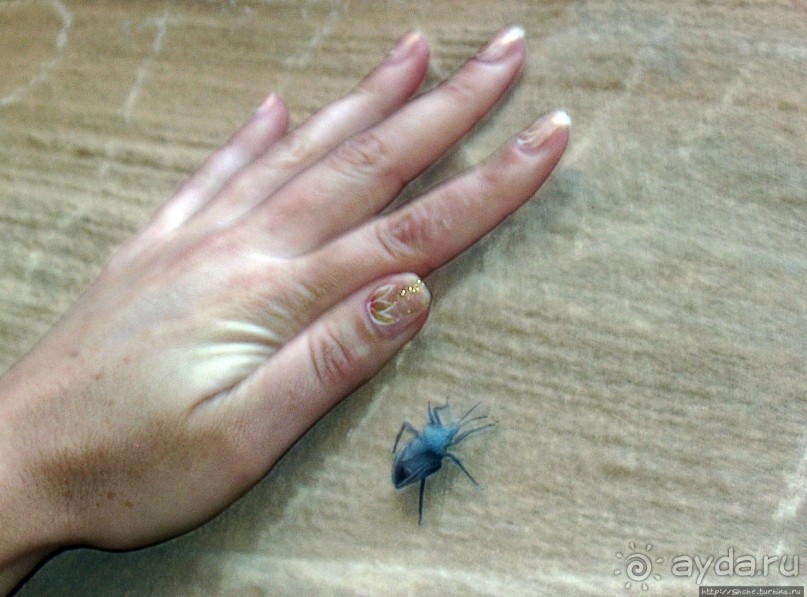 Выкрутасы природы: цветной каньон в Синайской пустыне