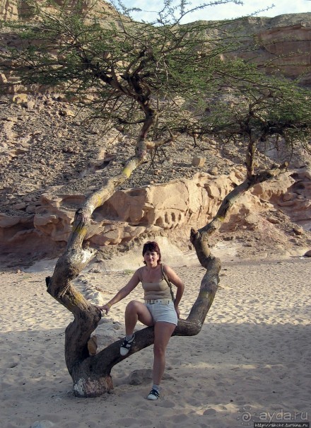 Выкрутасы природы: цветной каньон в Синайской пустыне