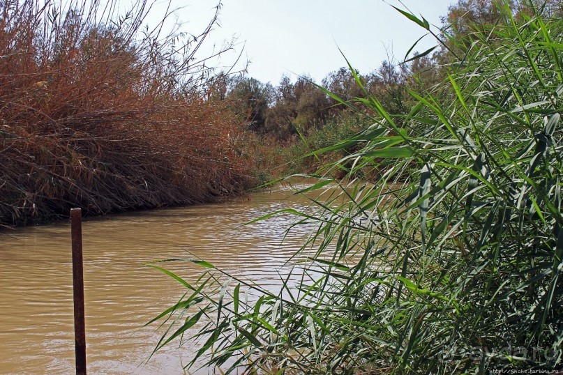 Воды Иордана — такие мутные, такие "чистые"
