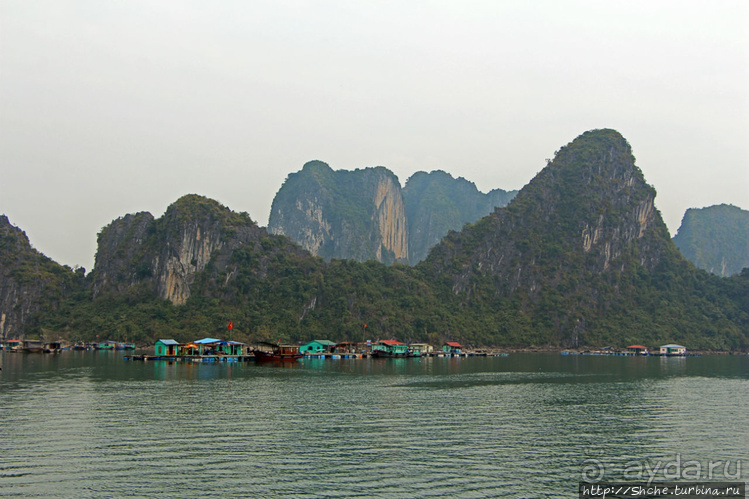 Рыба-колбаса, креветки-богомолы...в плавучей деревне рыбаков