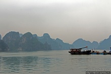 Рыба-колбаса, креветки-богомолы...в плавучей деревне рыбаков