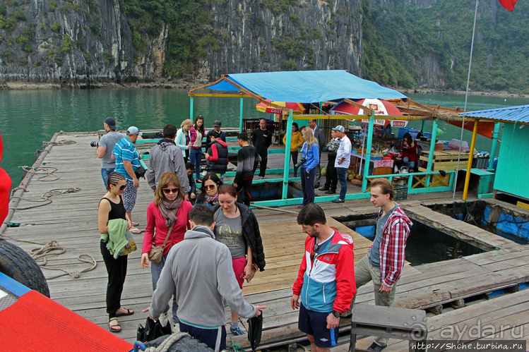 Рыба-колбаса, креветки-богомолы...в плавучей деревне рыбаков