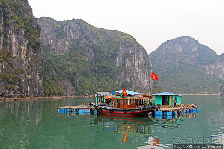 Рыба-колбаса, креветки-богомолы...в плавучей деревне рыбаков