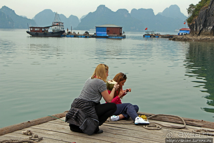 Рыба-колбаса, креветки-богомолы...в плавучей деревне рыбаков