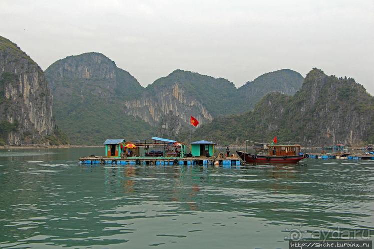 Рыба-колбаса, креветки-богомолы...в плавучей деревне рыбаков