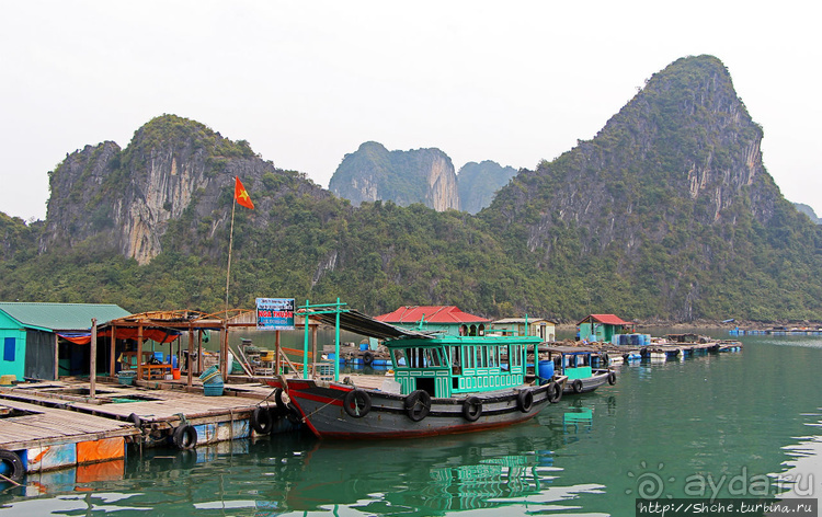 Рыба-колбаса, креветки-богомолы...в плавучей деревне рыбаков