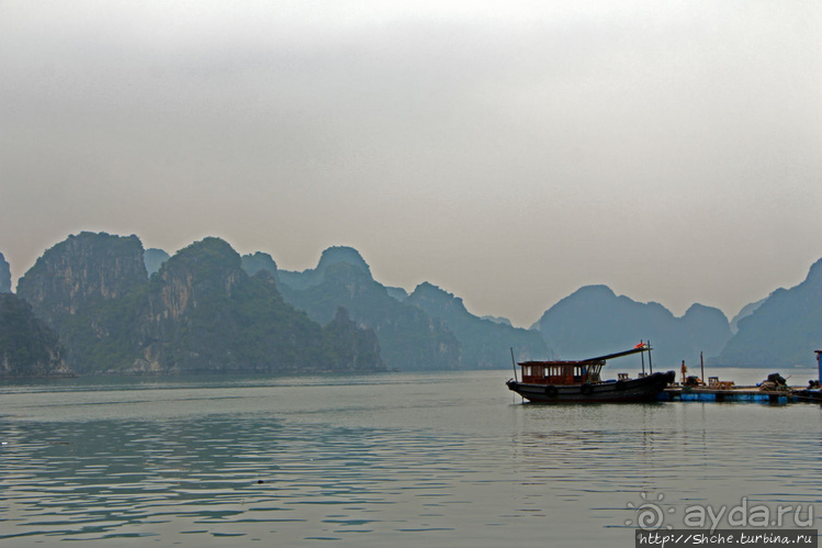 Рыба-колбаса, креветки-богомолы...в плавучей деревне рыбаков