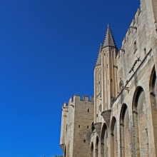 Дом для "плененных" пап