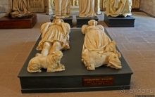 Дом для "плененных" пап