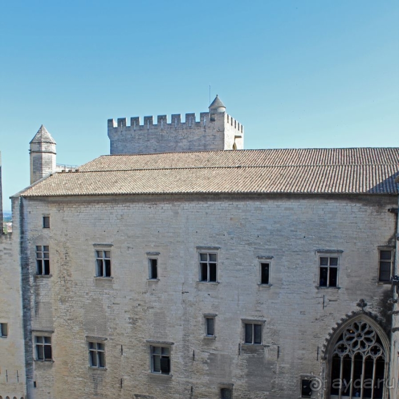 Дом для "плененных" пап