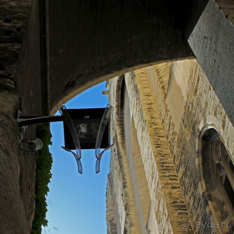 Дом для "плененных" пап