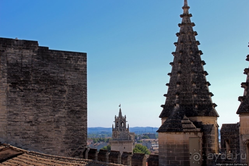 Дом для "плененных" пап