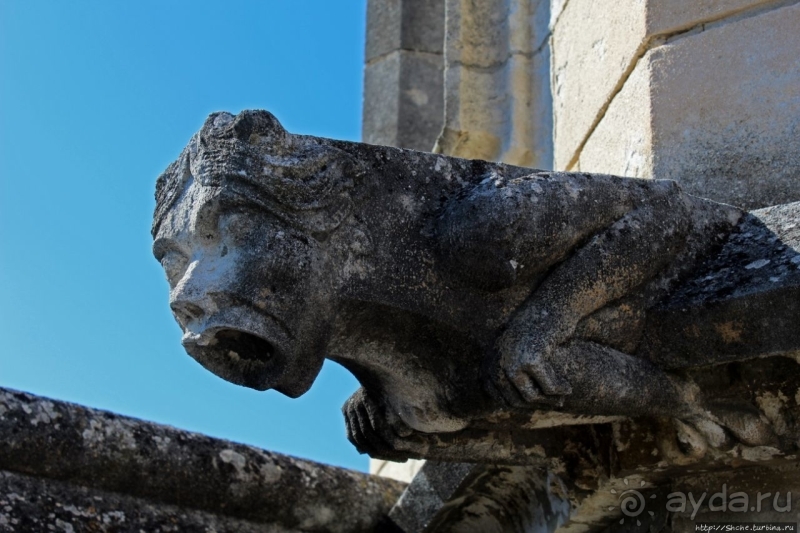 Дом для "плененных" пап