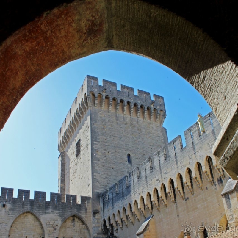 Дом для "плененных" пап