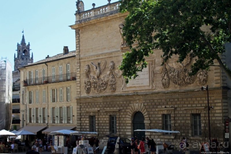 Дом для "плененных" пап