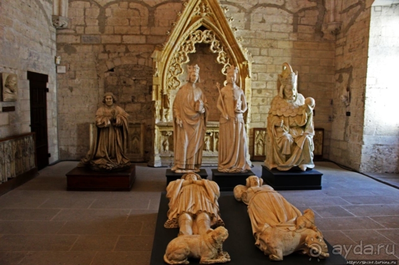 Дом для "плененных" пап