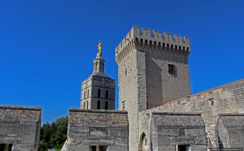 Дом для "плененных" пап