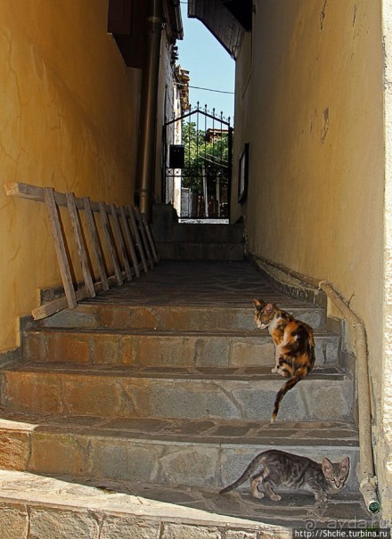 Истинный колорит старой Кавалы