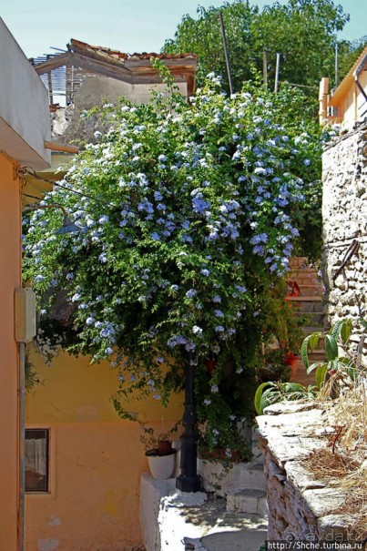 Истинный колорит старой Кавалы