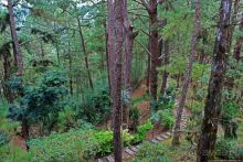 Лагерь Джона Хэя — историко-курортный центр в горах Багио