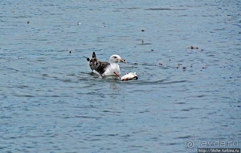 Город на море — значит есть берег. Провинстаун — курорт США