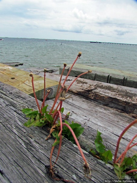 Город на море — значит есть берег. Провинстаун — курорт США