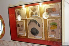 Исторический заповедник в Буше — 3 в 1