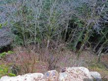 Альбом отзыва "Как, скажи, тебя зовут? И она ответила: как хочешь. Крепость"